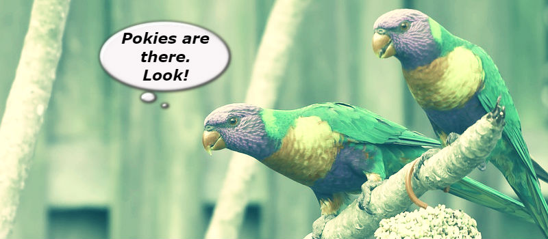 Pokies